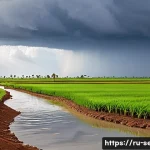Home 20 세네갈의 우기와 건기 - A vibrant Senegalese rural landscape during the wet season, showing lush green savannas and fields w...